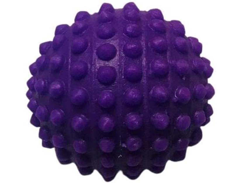Brinquedos para Cães